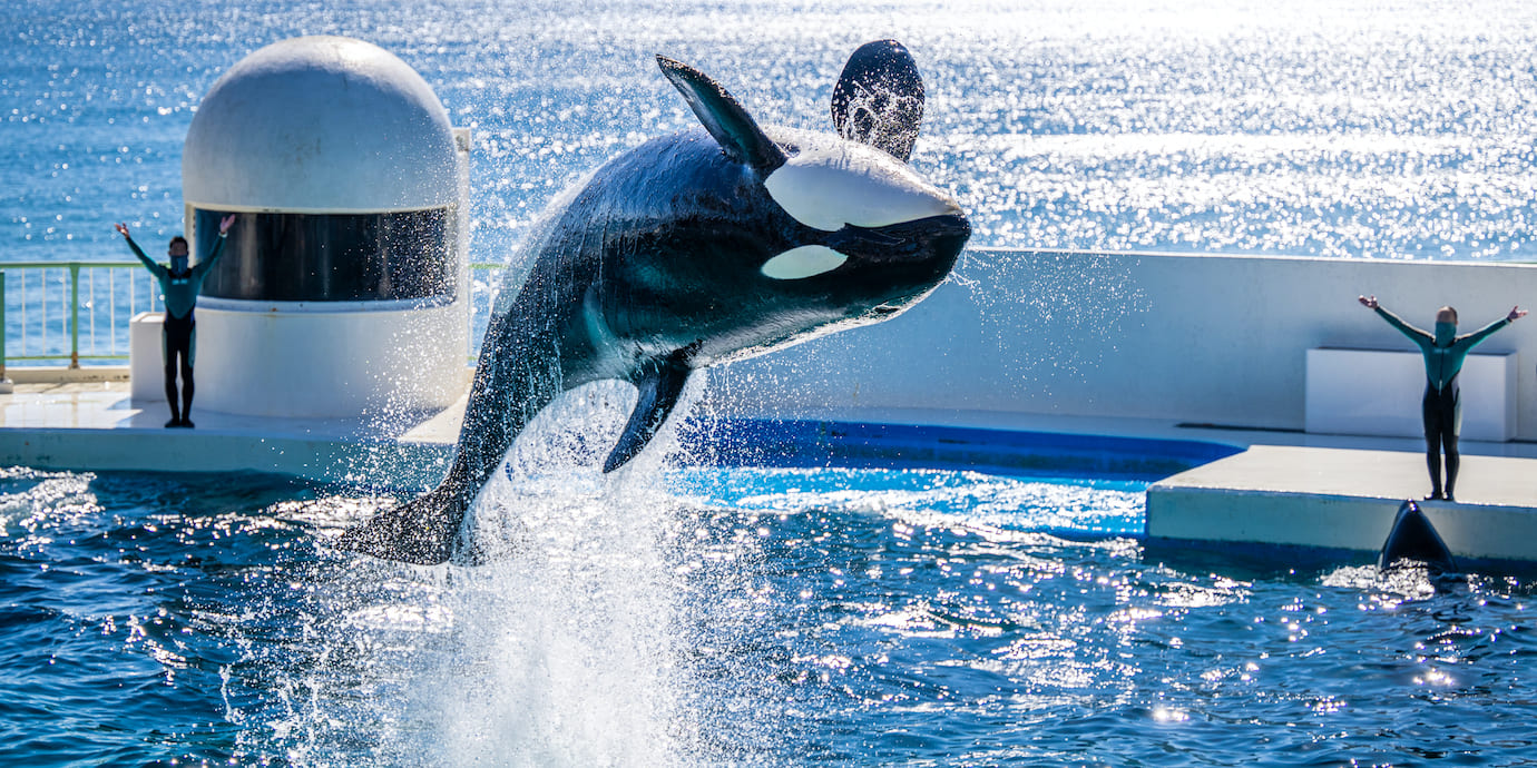 鴨川シーワールド